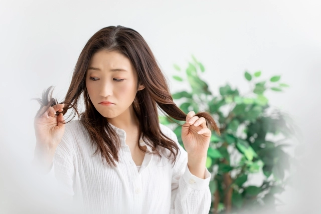 白髪染めとヘアカラーの完全ガイド|違い・種類・頻度・ダメージ対策まで美容師が徹底解説